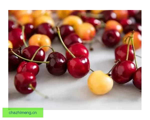 樱桃视频网页版：解锁视界新维度，探索无限精彩